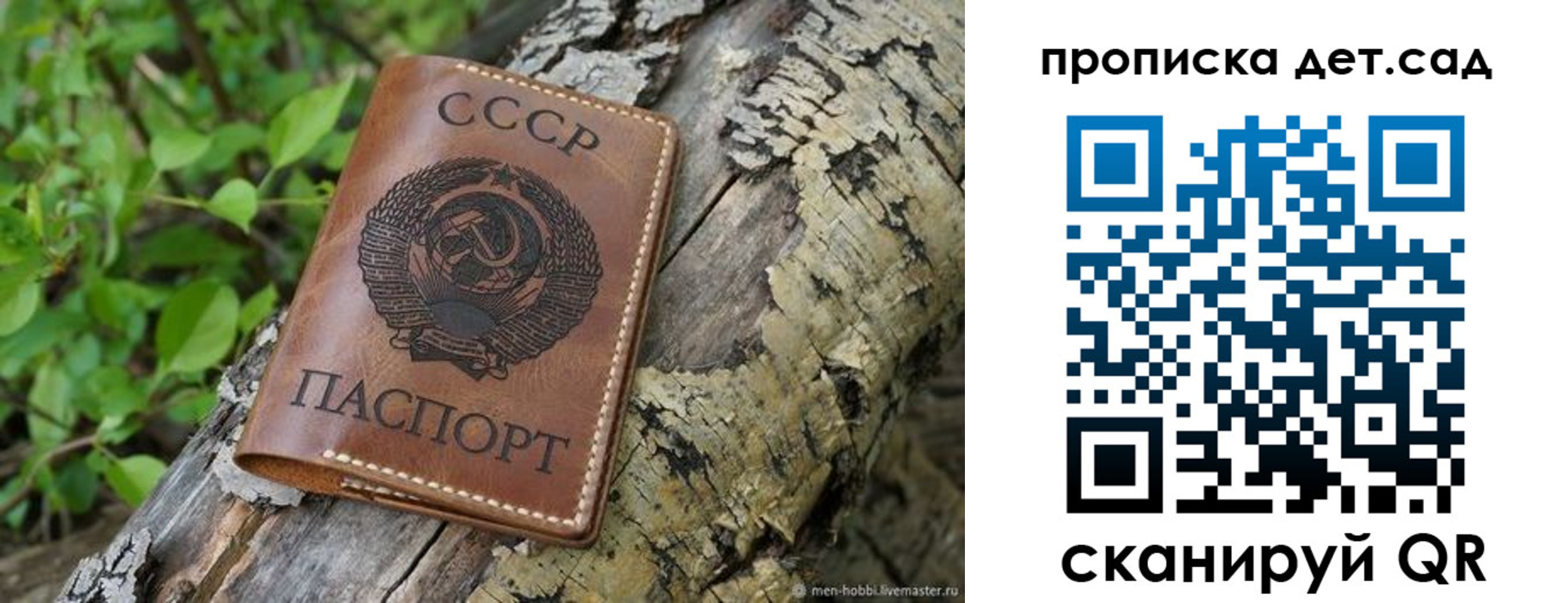 прописка иностранных граждан в Балее